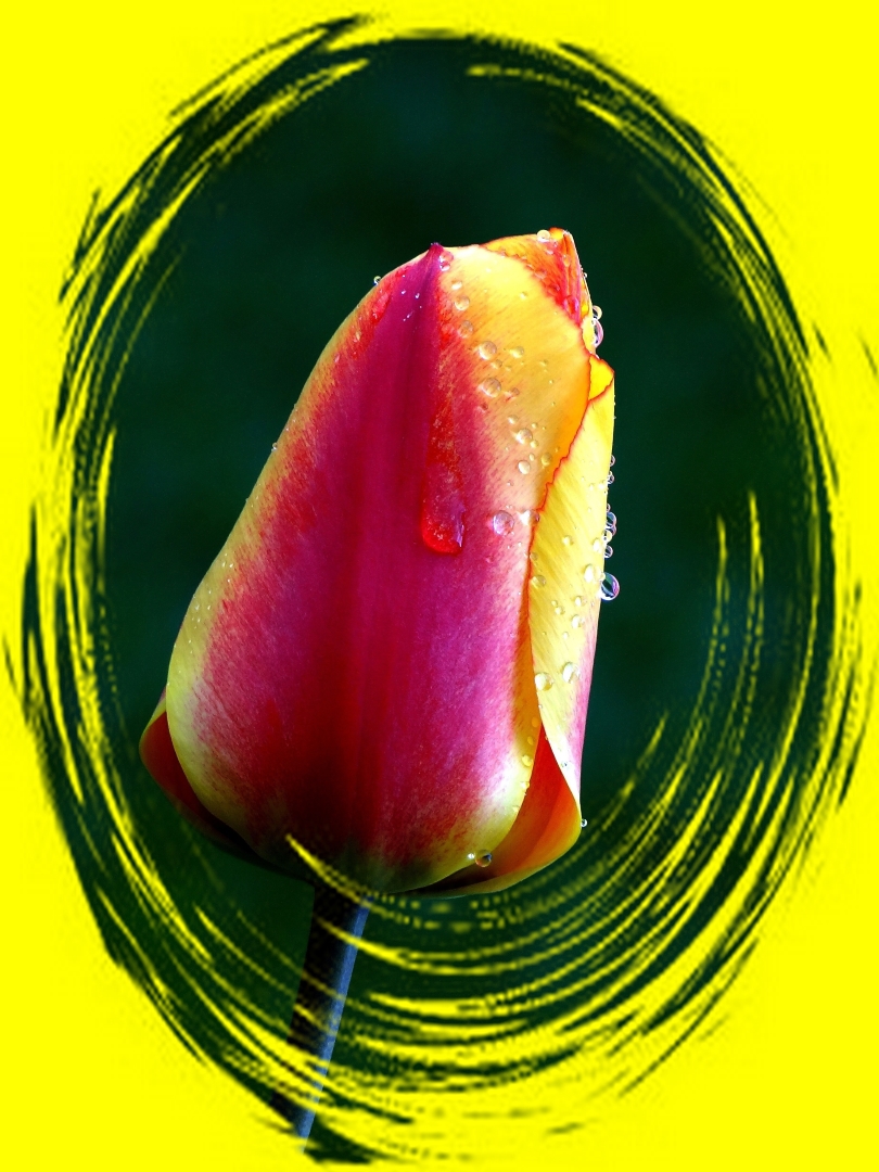 Tiled Image