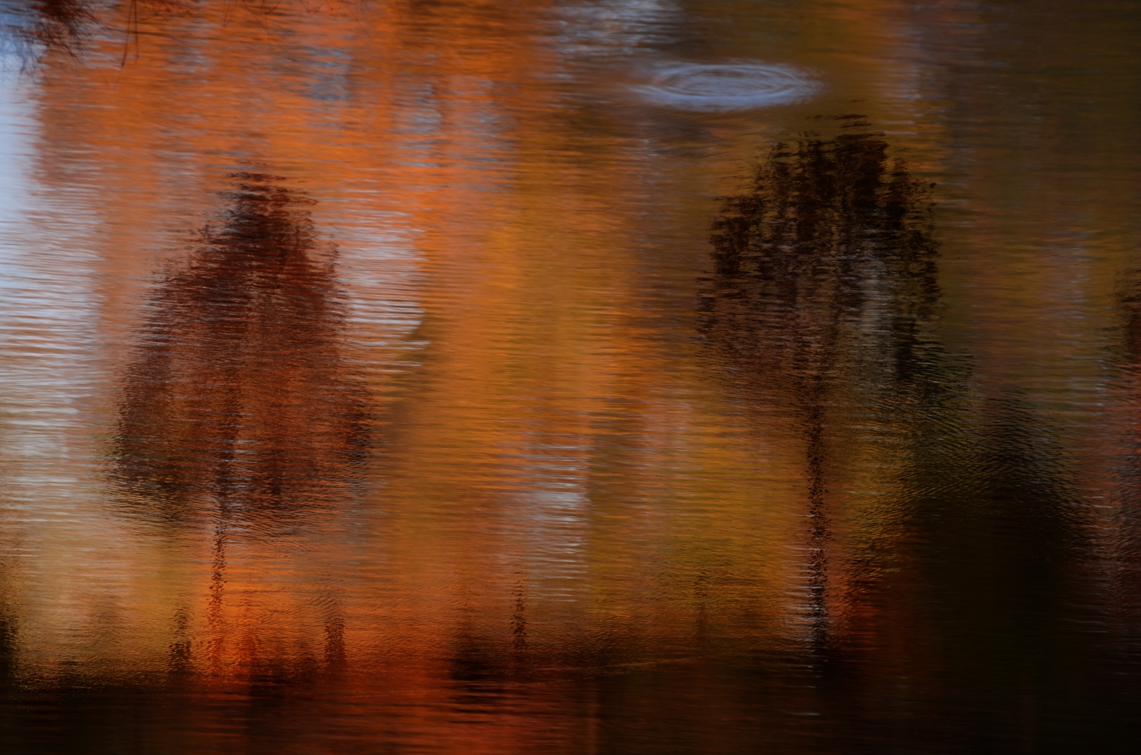 Tiled Image