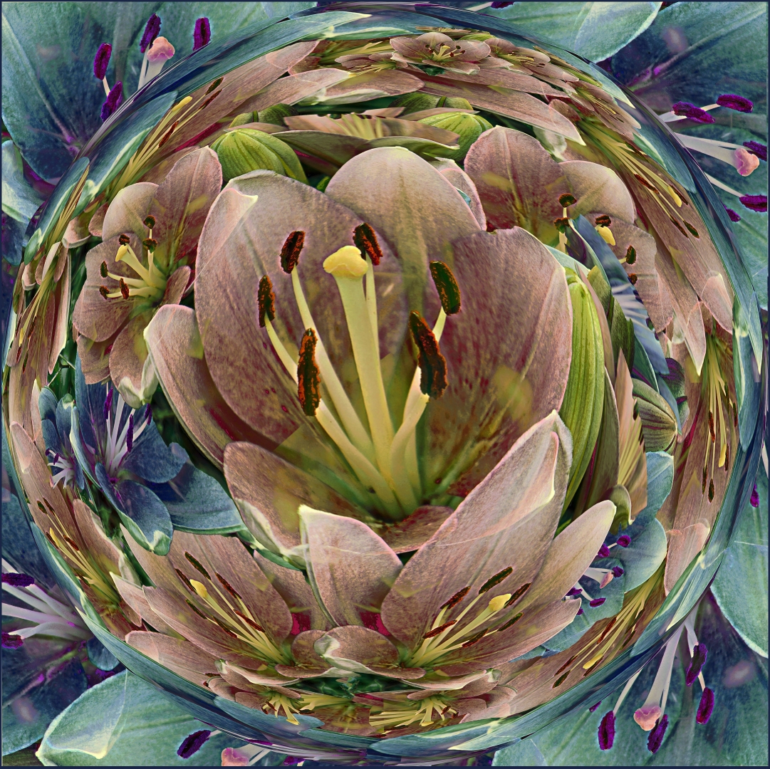 Tiled Image
