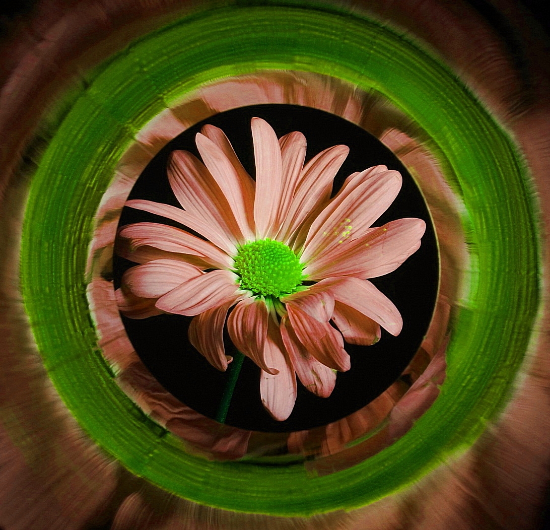 Tiled Image