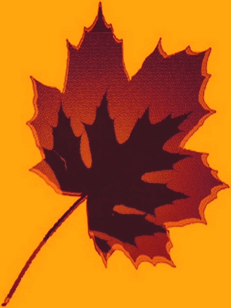 Tiled Image