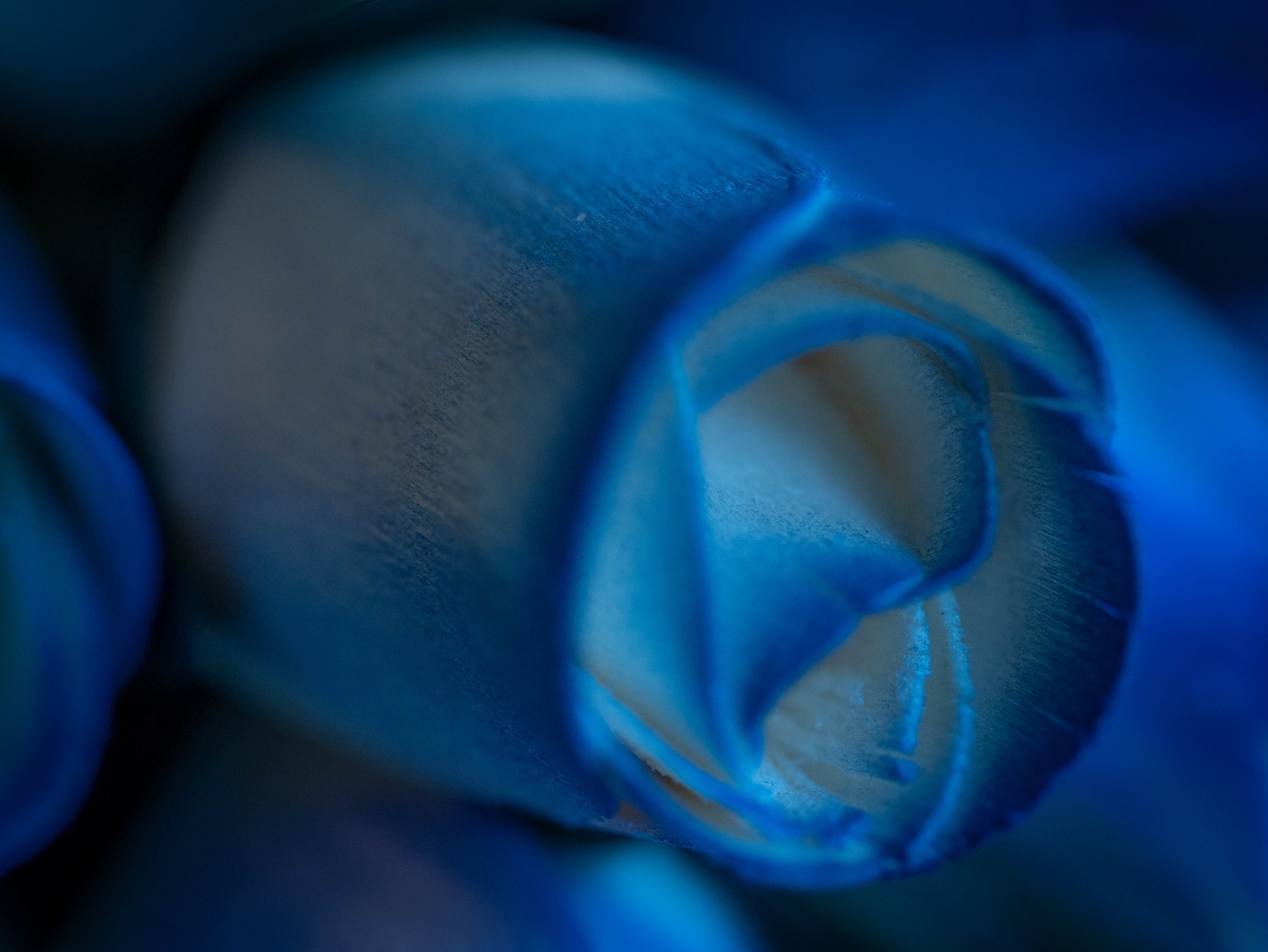 Tiled Image