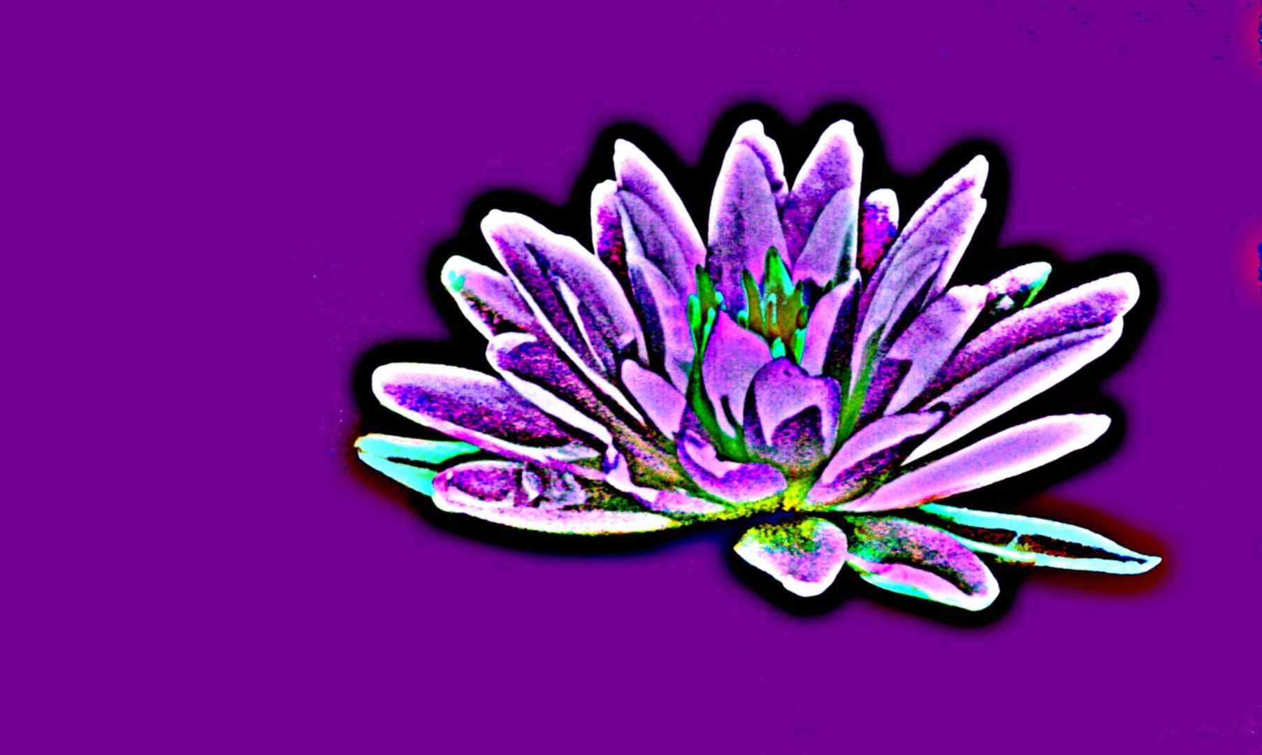 Tiled Image