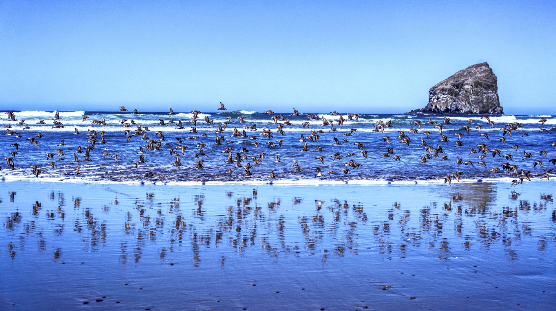 Tiled Image