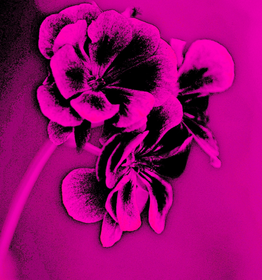 Tiled Image